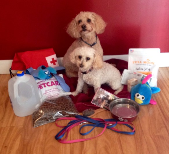 Pictured beside Zack and Zoe are leashes, water, food, Vet information, dog toys, a towel, dog treats, medical history, medicine, current picture of Z&Z and a water bowl.