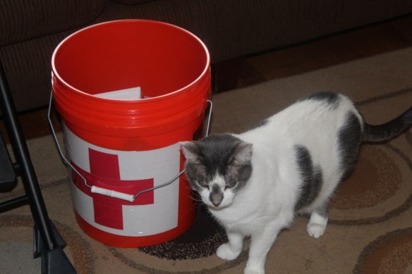Red Cross Cat