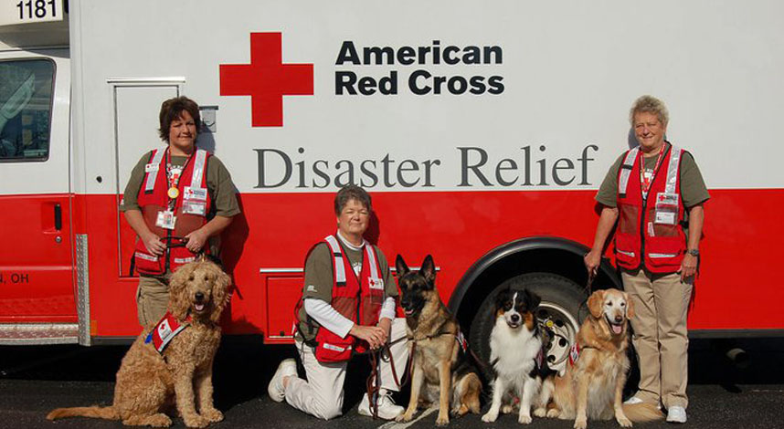 11034305_807241512685488_4769195709308649048_n