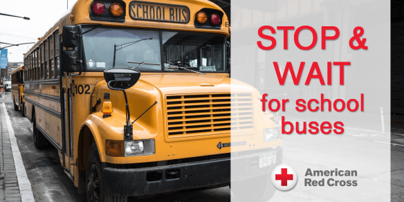 Back to school_stop for bus tip.png