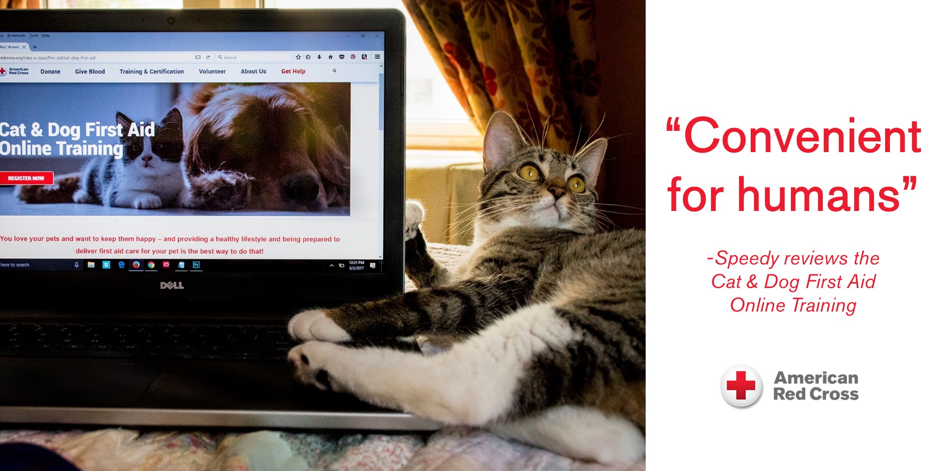 Speedy_CatDogFirstAid (002)