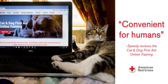 Speedy_CatDogFirstAid (002)