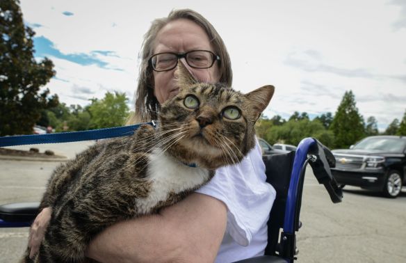 Hurricane Florence 2018