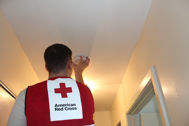 47842055231_cd2fa86d96_c