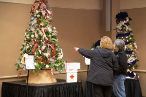 49164545698_7913cd9266_c