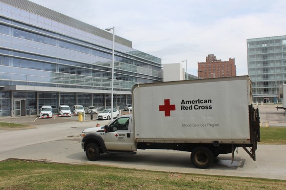 49680813507_abfe643018_c