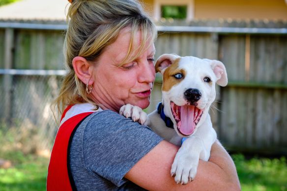 Hurricane Harvey 2017