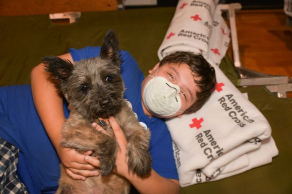 California Wildfires 2018